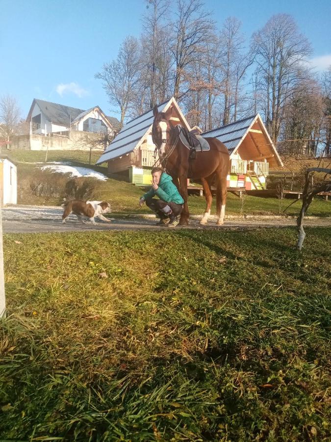 Apartma Pr' Vok Lesce  Esterno foto