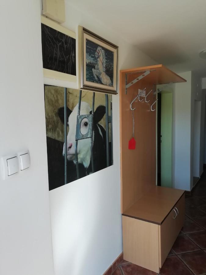 Appartamento Apartma Pr' Vok Lesce  Esterno foto